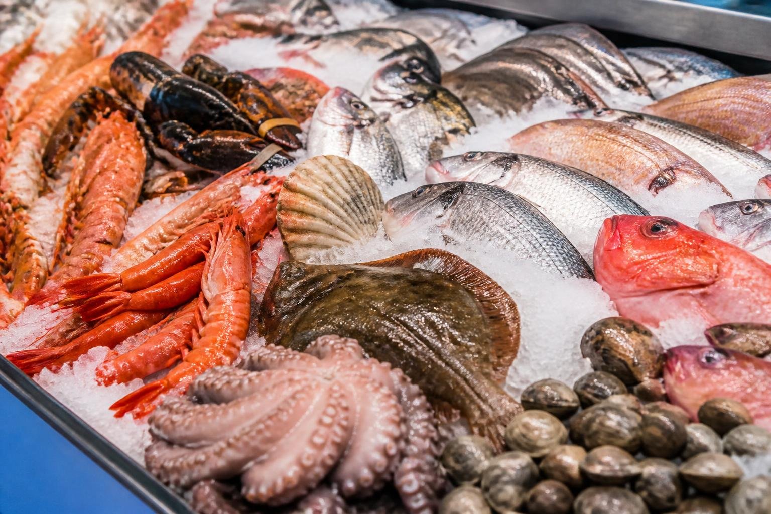Plateau de fruits de mer frais : poissons, crustacés et mollusques étalés sur glace