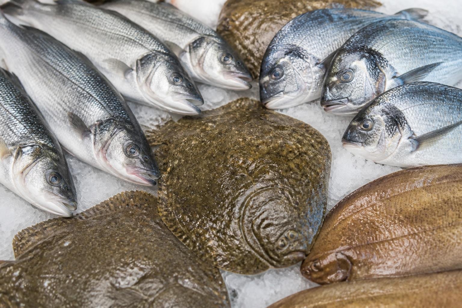 Variété de poissons frais : bar, daurade, turbot, sole