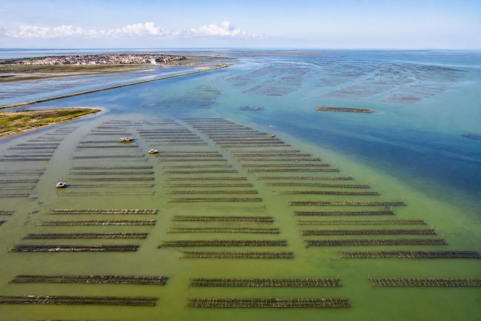 Vue aérienne de parcs ostréicoles en Charente-Maritime