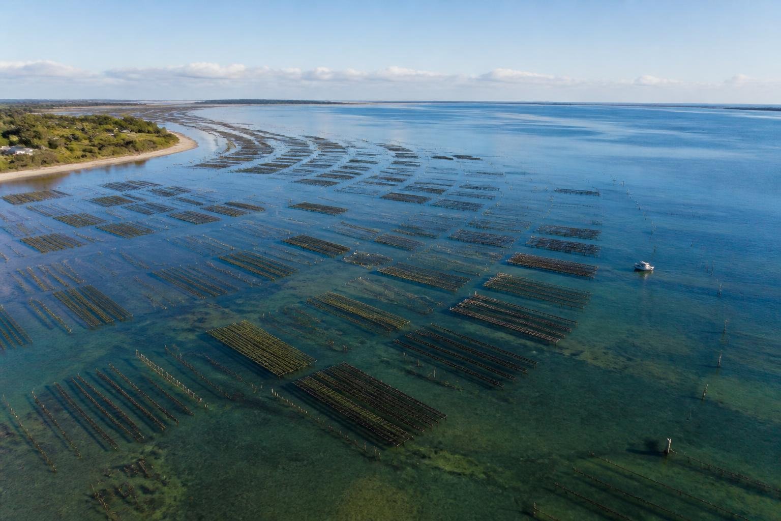 Vue aérienne d'un bassin ostréicole côtier avec parcs d'huîtres et eau atlantique